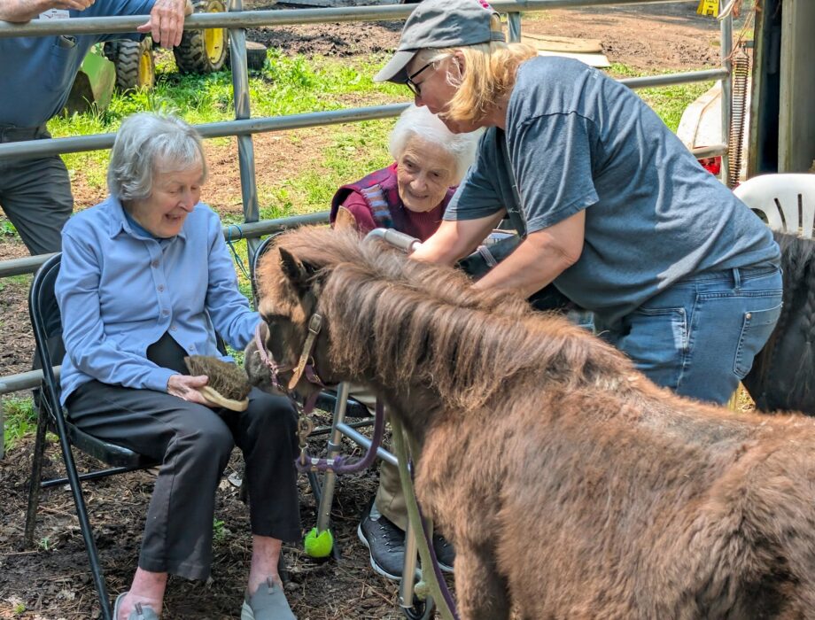 Kimball Farms Life Care residents interact with miniature horses during a group outing to Berkshire HorseWorks, highlighting recreational and social engagement opportunities for older adults.